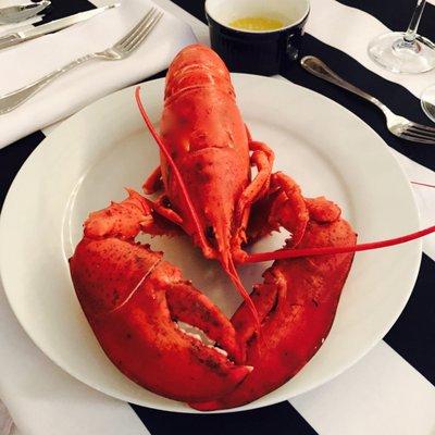 Lobsters, cooked and cracked. Lobster clambakes, too--delivery available.