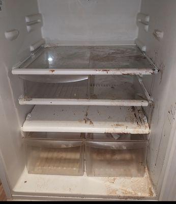 Before the refrigerator was cleaned.