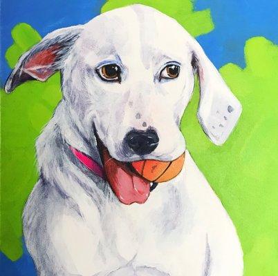 Sophie the Dog - Pet Portraits by Jenna Bowles