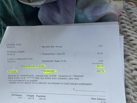 Stax's vet bill, with a substantial portion attributed to his foot injury.