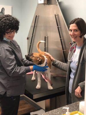 Mel and Dr. Belvedere doing a physical exam on a very wiggly puppy!