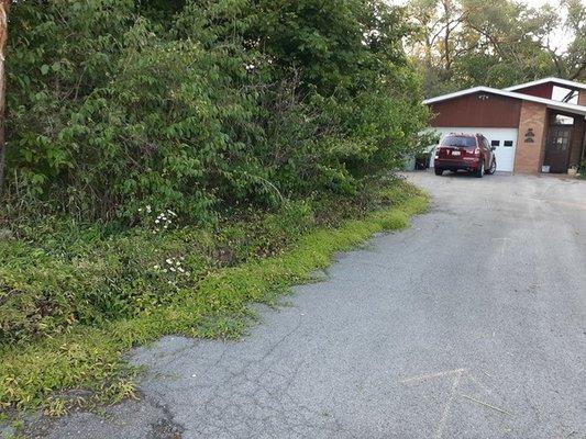 Driveway before.