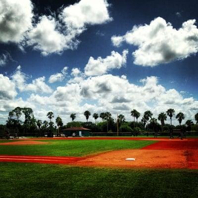 Pirate City practice field.