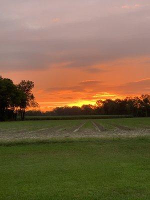 Bergeron's On the Bayou Campground