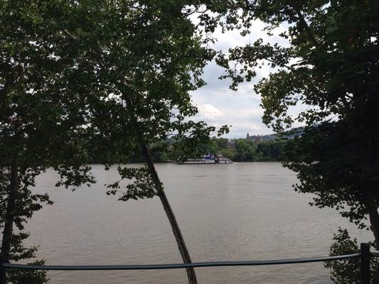 Gateway Clipper Princess through trees.