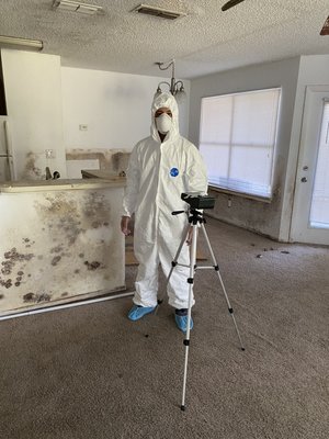 Happy to help get rid of this invasive mold and happy to help you with any mold related problems you may have.