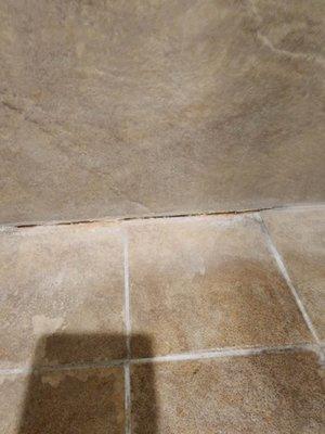 Gaps in grout & unsightly rust orange color a year later.