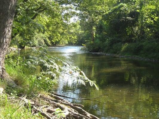 The view of the Little Pigeon River from Riverbend!