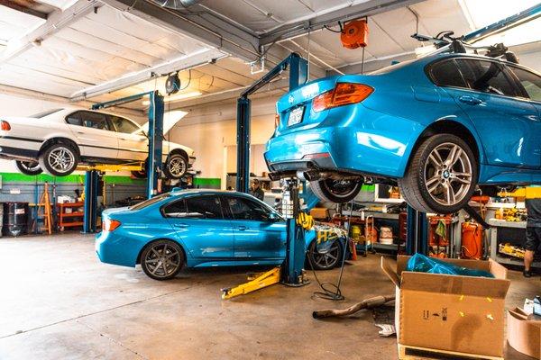 BMW repair is our speciality!