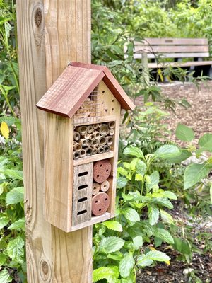 Insect condo