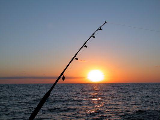 If you're an avid angler, there is a myriad of places to fish including the renowned Boca Grande tarpon fishing tournament.