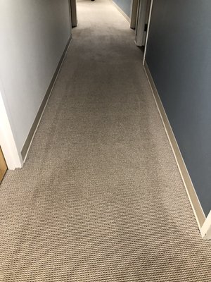 Carpet Extraction Shampoo