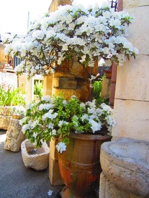 Terracotta Anduze  Jardiniere , planter