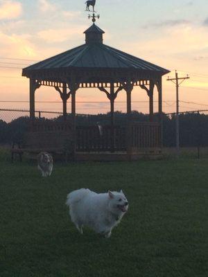 After a little ring around the gazebo.