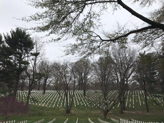 Arlington Cemetery