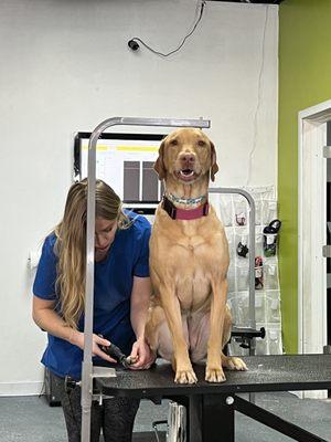 Emma getting her quick PAWdicure from Vanessa