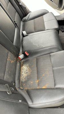 Seat stain cleaning