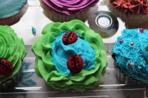 Cute little lady bugs were also part of the selection during the class.