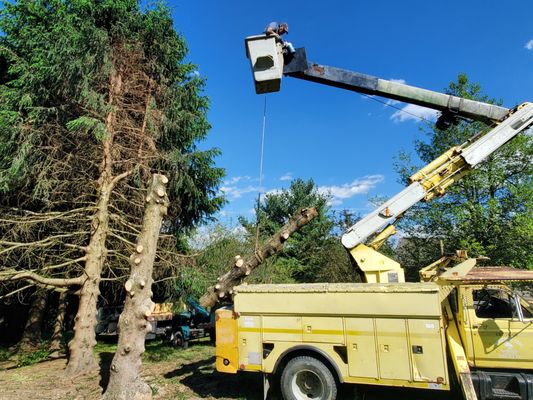 High lift hoists to help protect your yard