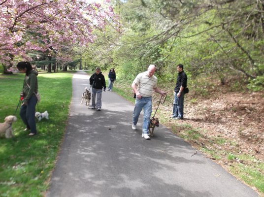 Dogs On Location class in Brookdale Park.