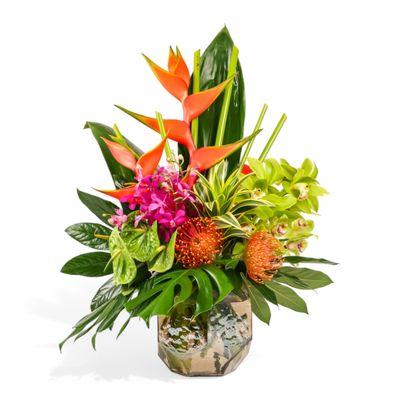 Hilo Beauty Designer Floral