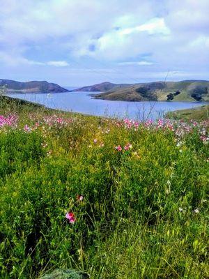 View from Hwy 46, the coast on the other side of the lake.