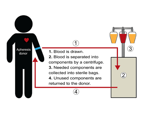 Apheresis Chart