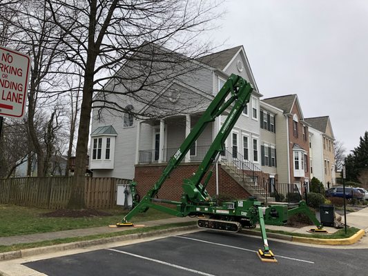 Getting ready to trim the tree limbs away from the town house