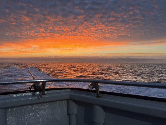 The view on the ride out to catch some Salmon!