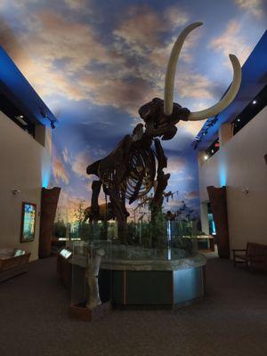 The Bishop Museum of Science and Nature