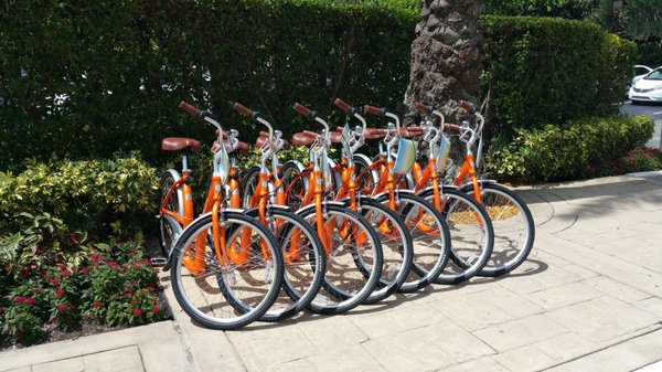 Bicycles at the Four Seasons Hotel Palm Beach Island from Family Bicycles