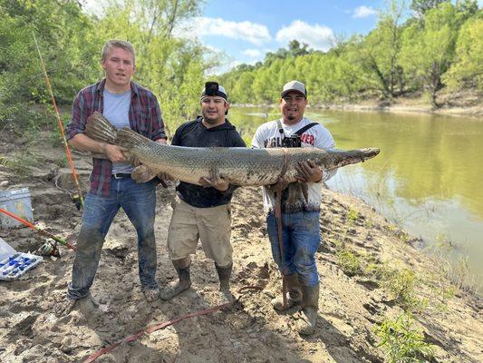 Alligator gar