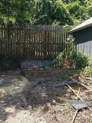 Shed Removal (After)