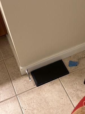 The rat traps they just randomly placed in the bathroom 6hrs after the incident!