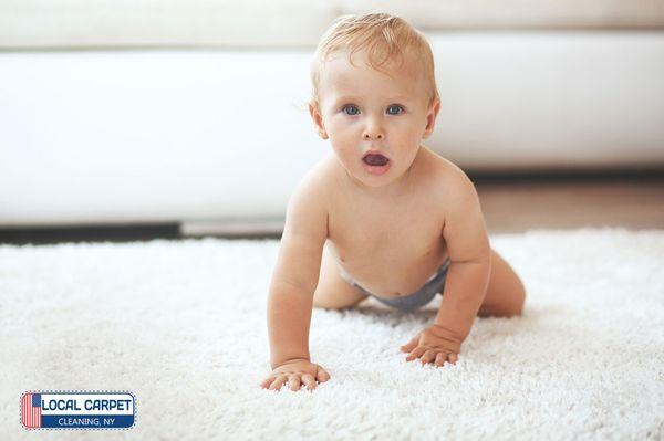 Nontoxic carpet cleaning NY