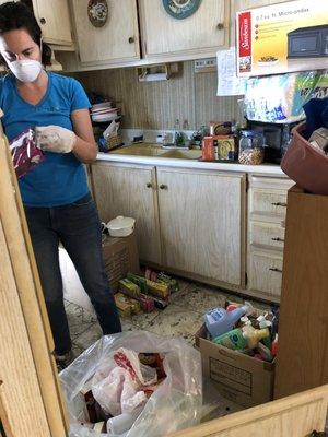 Checking expired food in a hoarding house