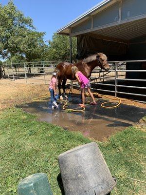 My granddaughter in the jeans learning how to shower Georgie.