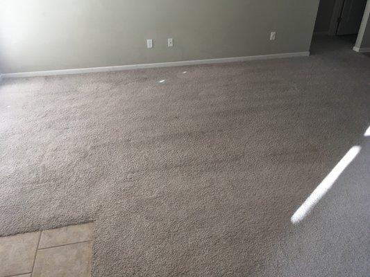 This is after picture of a customer's carpet. The carpet was over ten years old.