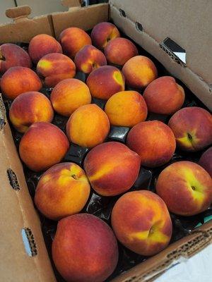 Peach season! My fav peaches in GA