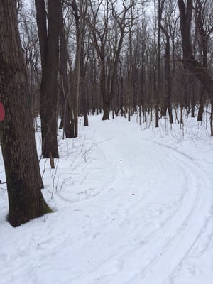 Laurel Ridge State Park