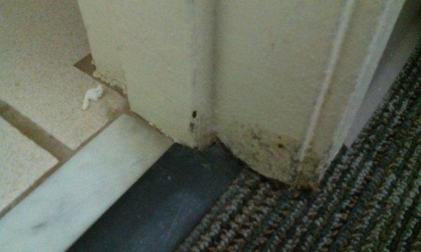 This is bad mold NO EXCUSES FOR IT! Health hazard need I say more and yes the trash you see on the floor was already there shame on you.