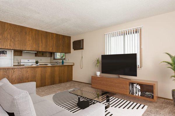 Open Kitchen and Living Room