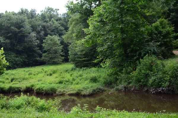 Beave Dam Creek