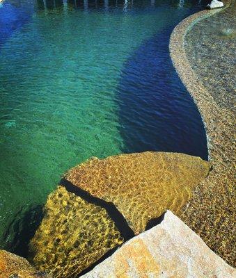 Next Generation Natural Pools