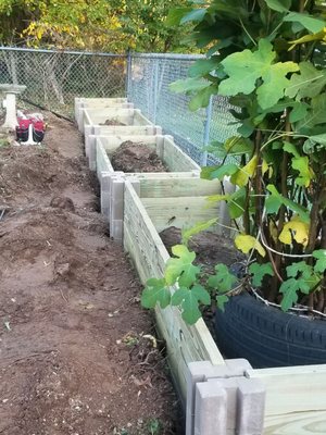 Raised garden beds