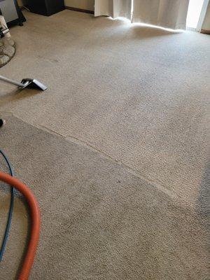 Apple Valley Residential Carpet