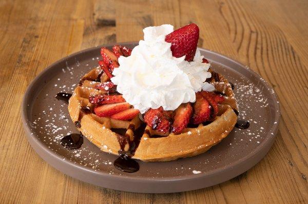 Chocolate waffle