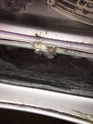 Dryer lint pocket