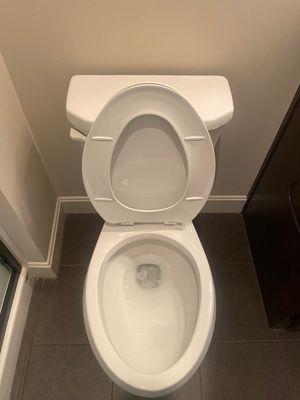 Nothing better than a clean toilet