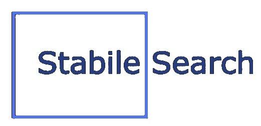 Stabile Search Logo